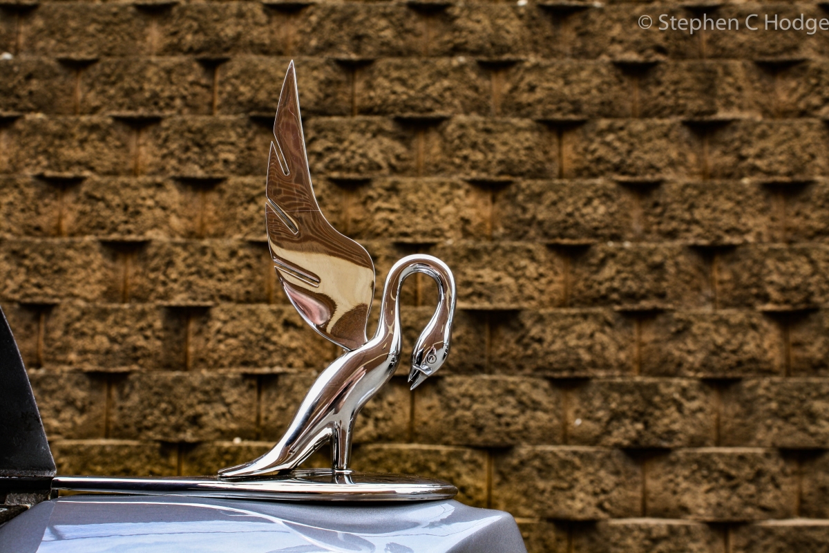 1936 Packard Hood Ornament       